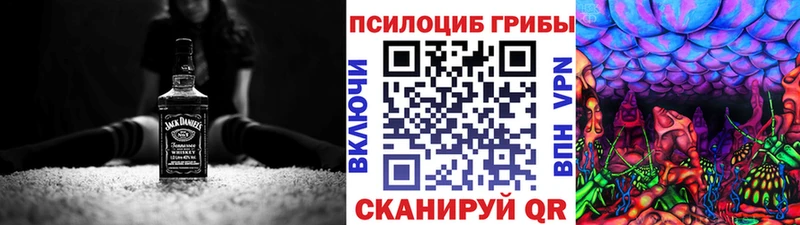 Псилоцибиновые грибы Psilocybine cubensis  Унеча 
