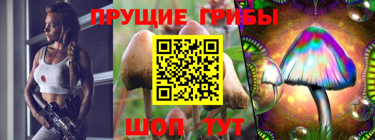 Унеча  Псилоцибиновые грибы мухоморы  Вход с VPN  Псилоцибиновые грибы ЛСД 