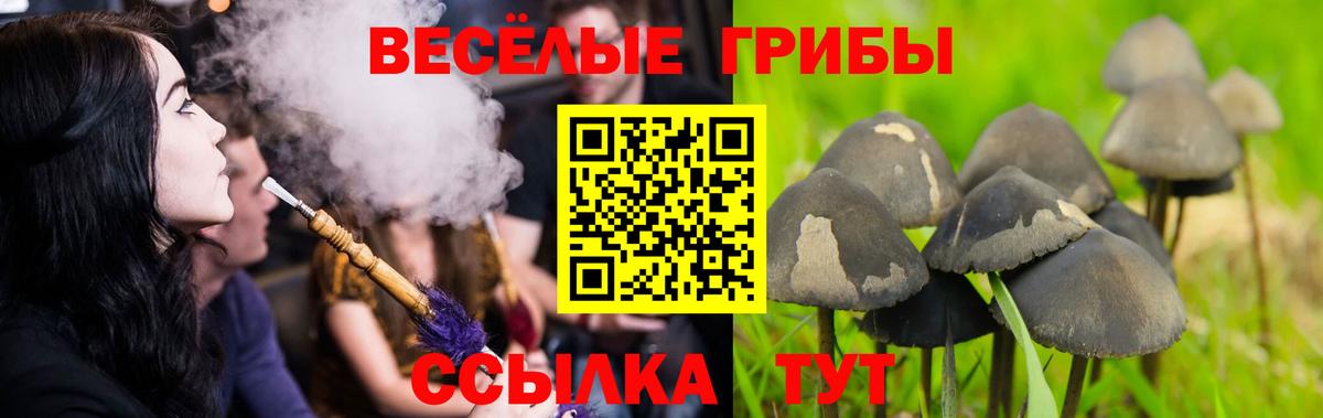 Псилоцибиновые грибы прущие грибы Унеча